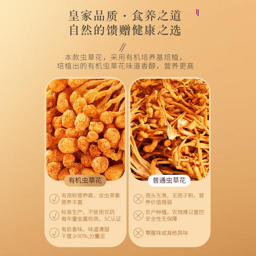 福东海 有机虫草花100g 特级蛹虫草大孢子头食用菌菇煲汤 商品图3