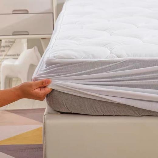 磨毛纯棉床笠 单件床垫保护罩全棉新款全包床套罩可机洗 商品图3