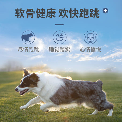 MAG鲨鱼软骨素-180g小罐装补充关节营养养护关节 商品图1