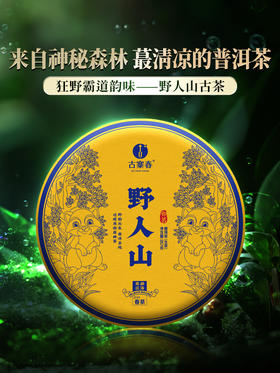【野人山】2024年头春头采勐海班章茶区，狂野霸道森林野放茶 优质班章味 普洱茶生茶357克/饼 拍5发6拍20发25