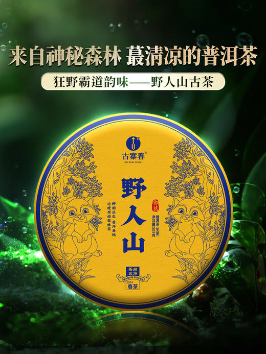 【野人山】2024年头春头采勐海班章茶区，狂野霸道森林野放茶 优质班章味 普洱茶生茶357克/饼 拍5发6拍20发25 商品图0