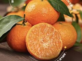 解读寻乌蜜桔：从果园到舌尖的甜蜜故事！