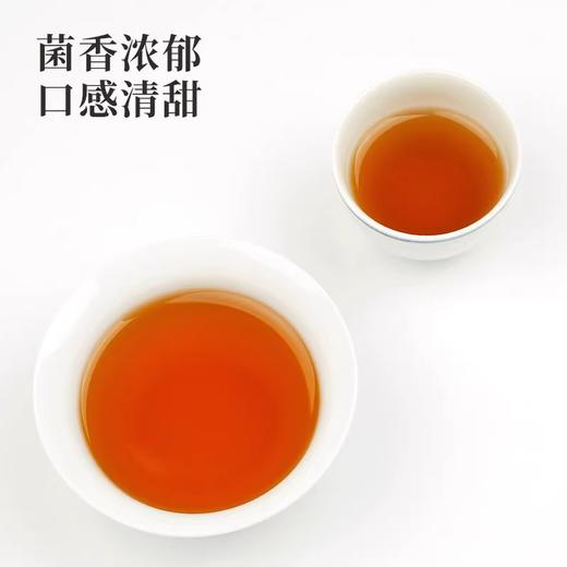 国津丨金花茯砖 安化黑茶 2018年原料 120g 罐装 商品图2