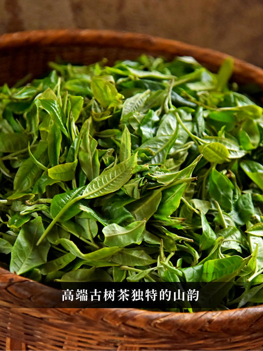 【君临天下】2024年头春头采易武刮风寨核心黑水梁子古树茶，精微高端产区一匹黑马！独具魅力的原始森林野韵，大分量1000克/砖 拍5发6 商品图6