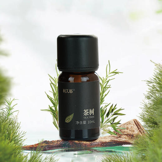 LEAF·利芙耶 茶树单方精油10ml/瓶 商品图1