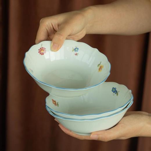 【Seltmann Weiden】怀旧奏鸣曲系列餐具餐盘餐碗（散瓷 无外包装盒） 商品图2