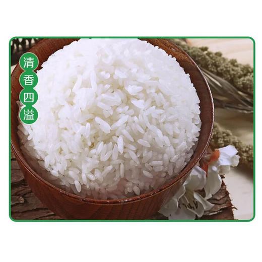 中粮  福临门寒地东北珍珠米5kg 商品图2