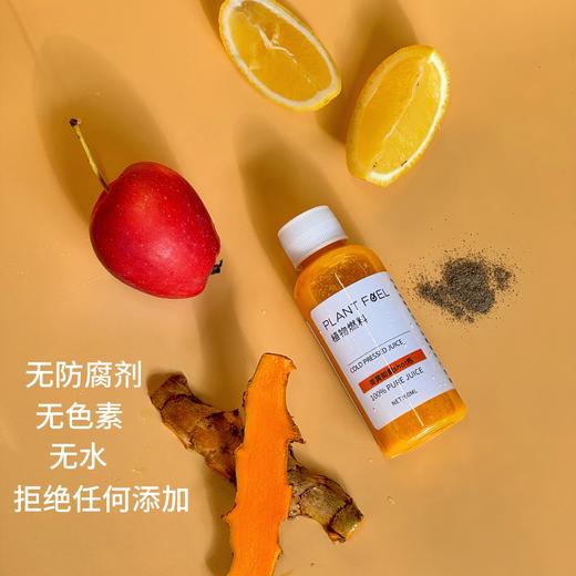 植物燃料Immunity shot 姜黄能量瓶 商品图2