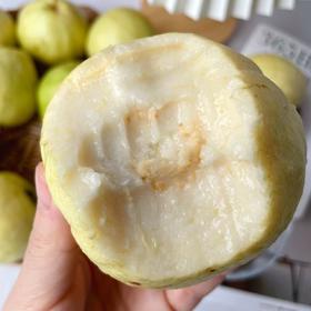 【斌哥优选】奶油芭乐。一口奶油水果/奶油冰淇淋，都是它。果芯软糯，清新不寡淡。开箱满屋飘香。丰富的膳食纤维。