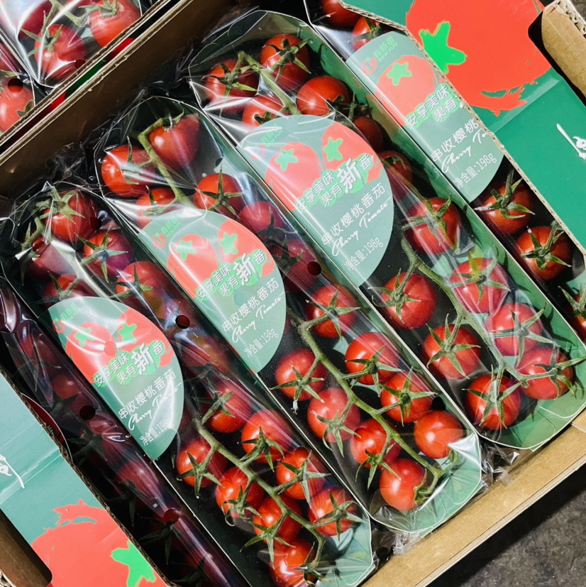 【市区内顺带不发快递】樱桃串收小番茄1箱10条 每条198克  美白抗氧