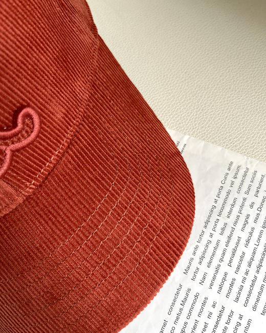 现货 THS 10.21-无 塞林 凯旋门贴布logo棒球帽 灯芯绒材质太阳帽棒球帽 4色 CN186 商品图8