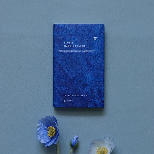 蓝：240段关于蓝色的哲思随笔（美）玛吉·尼尔森作品 商品图3
