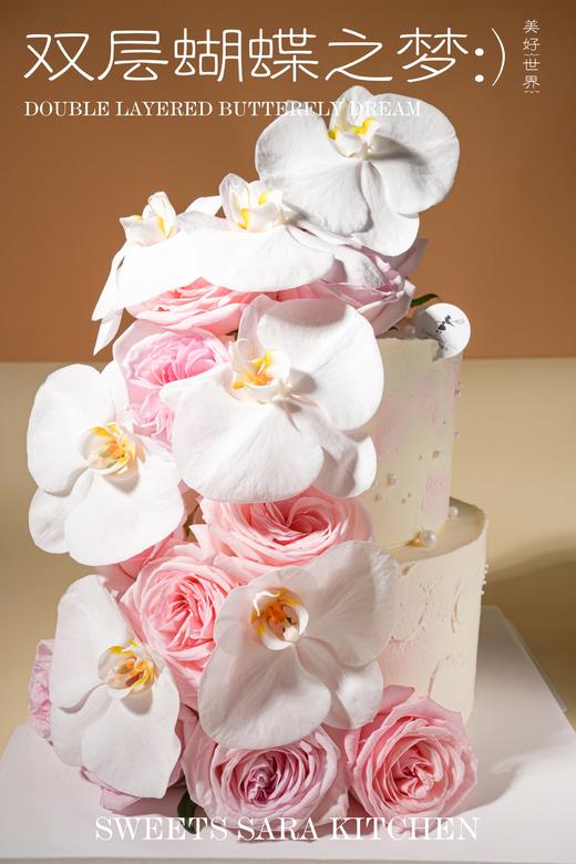 双层蝴蝶之梦 商品图1