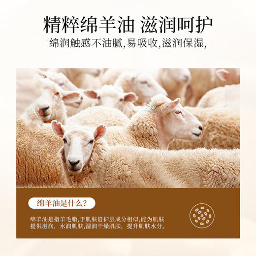 梵贞绵羊油护手霜补水保湿柔润丝滑滋润护肤细嫩大容量护手霜 商品图2