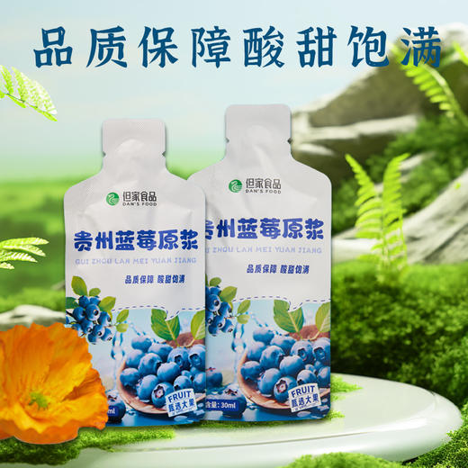 贵州特产-但家蓝莓原浆 商品图2