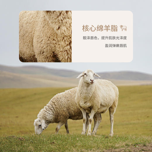 形象美绵羊油保湿润唇膏保湿保湿滋润提靓唇色唇部护理护唇膏 商品图2