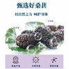 【桑葚发酵饮】187ml原汁发酵不添加蔗糖酸甜浓稠噗噗通畅 商品缩略图3