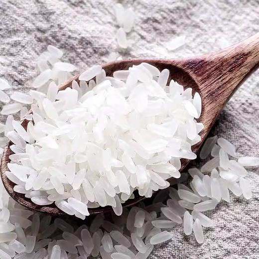 美村农场绿包五常大米5kg（绿包）长粒香 商品图2