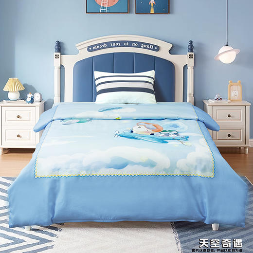 鑫缘 全棉数码印花儿童蚕丝被 AFPE0312-0612 商品图6