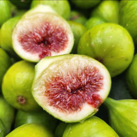 新鲜无花果（韶关）