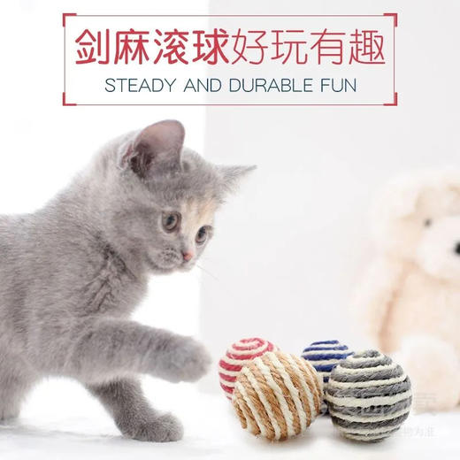 猫咪自嗨玩具啃咬球剑麻球猫玩具磨牙耐咬抓颜色随机1个 商品图0