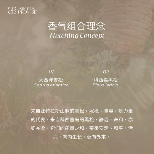 Aroma Promise松松部落套组（大西洋雪松精油10ml+松针叶精油10ml+木纹香薰机） 商品图1