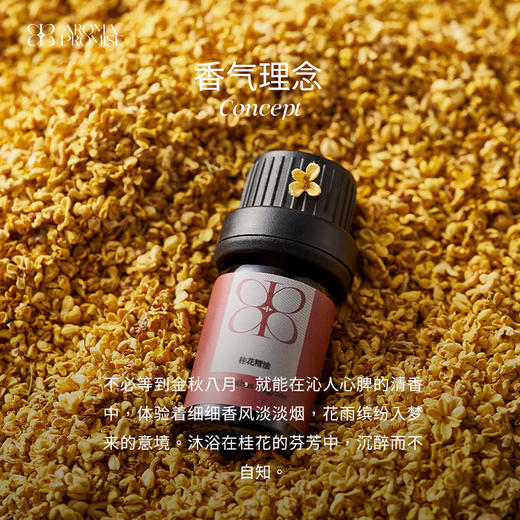 Aroma Promise桂子飘香(桂花精油2ml+木纹香薰机） 商品图1