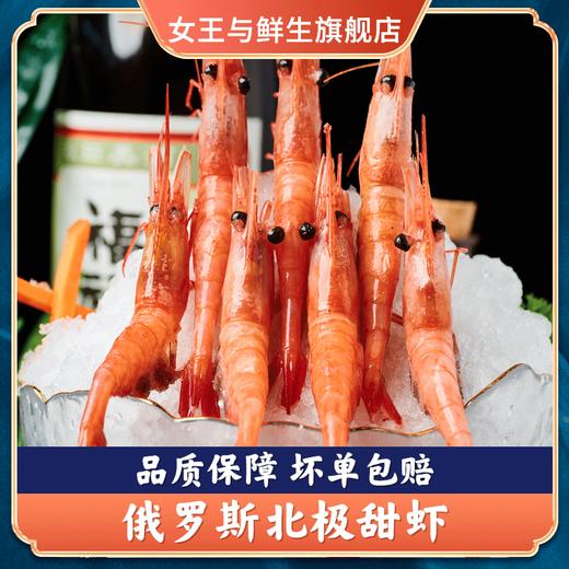 海底食界 俄罗斯刺身甜虾 商品图0