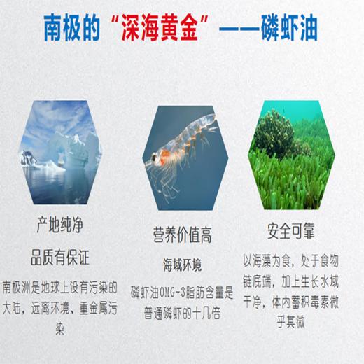 REAPS南极磷虾油(90粒) 商品图2