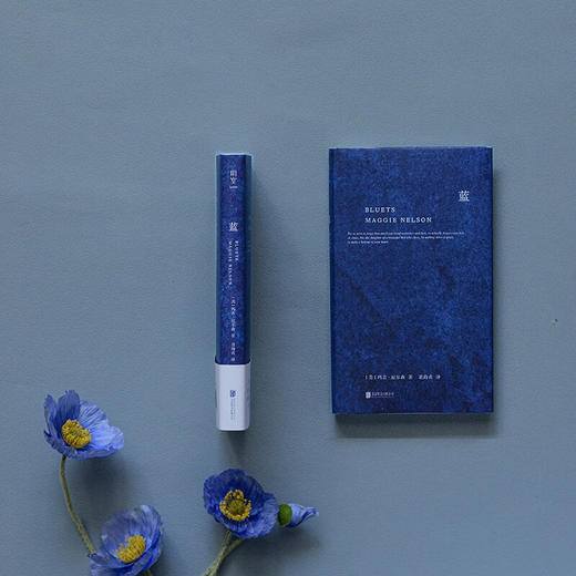 蓝：240段关于蓝色的哲思随笔（美）玛吉·尼尔森作品 商品图5