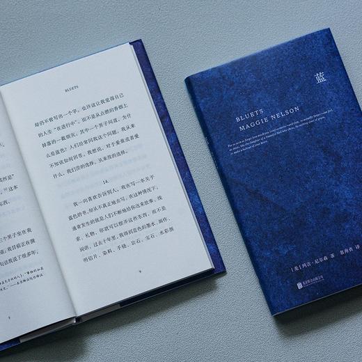 蓝：240段关于蓝色的哲思随笔（美）玛吉·尼尔森作品 商品图8