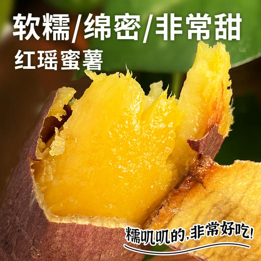 【包邮】当季正宗红瑶蜜薯   蒸烤皆可黄心红薯黄金番薯地瓜榴莲蜜薯 糖化后很甜 密农优选 商品图0