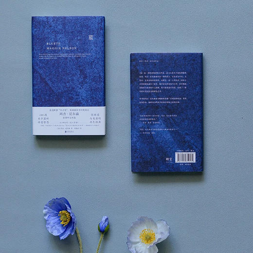 蓝：240段关于蓝色的哲思随笔（美）玛吉·尼尔森作品 商品图4