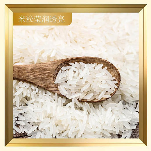 中粮  KINGFOOD欧曼芭香米5kg 商品图2