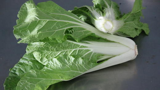 黄芽菜（400g） 商品图6