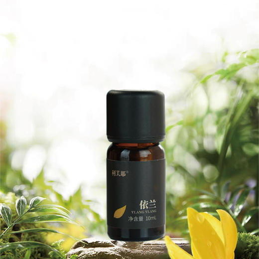 LEAF·利芙耶 依兰单方精油10ml/瓶 商品图1