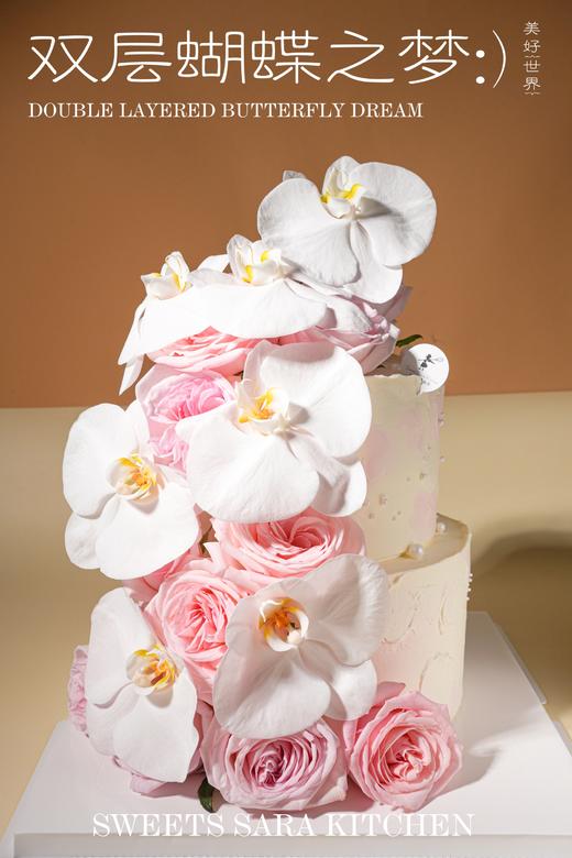 双层蝴蝶之梦 商品图0