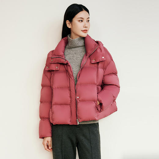 玳莎立领连帽面包保暖外套百搭女2024年冬季新款加厚短款羽绒服  ED41306 商品图1