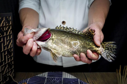 苗员外臭鳜鱼（0.7斤） 商品图0