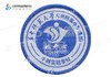 定制深圳市华中师范大学龙岗附属中学（集团）平湖实验学校校徽51 商品缩略图0