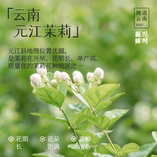 【嘉华鲜花饼】现烤茉莉花饼 8枚装 400g 商品图3