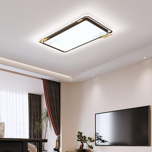 欧普（OPPLE）悦松客厅国潮新中式线面吸顶灯 商品图4