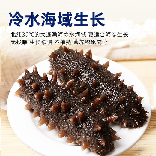 【东上御品】即食海参500g×2袋（两种规格任选） 商品图1