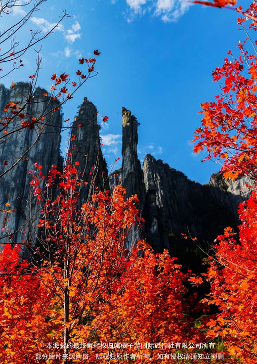 【五星恩施】湖北高铁纯玩品质全景六天 商品图1