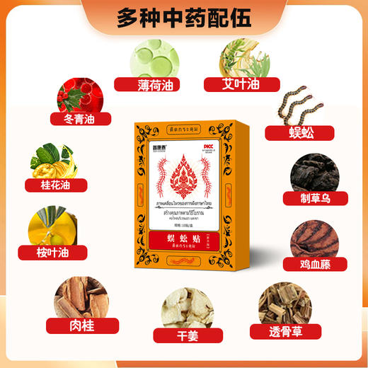 【哪痛贴哪 一贴见效】鑫康泰蜈蚣贴 蜈蚣成分 熬制成膏 植物中药萃取精油 商品图2