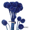 永生花材 | 黄金球宝蓝 商品缩略图2
