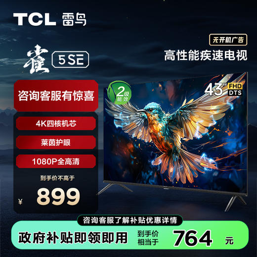 【TCL雷鸟】TCL雷鸟43雀5 SE 43英寸 4K四核 双通道Wi-Fi 莱茵低蓝光认证AI智能电视 43F175C-J 商品图0