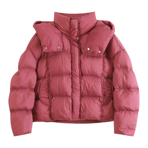 玳莎立领连帽面包保暖外套百搭女2024年冬季新款加厚短款羽绒服  ED41306 商品图4