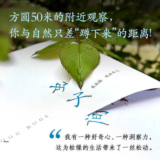 虫子间（成人版） 商品图1