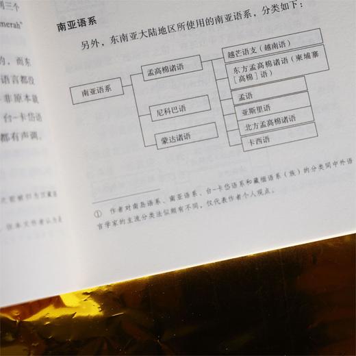 东南亚的传统与发展 商品图6